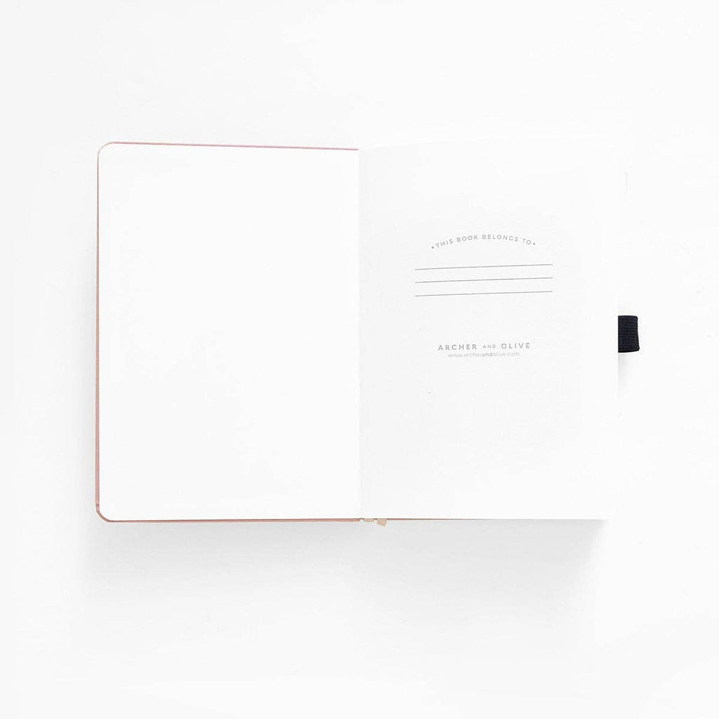 Meteor Shower: Notebook