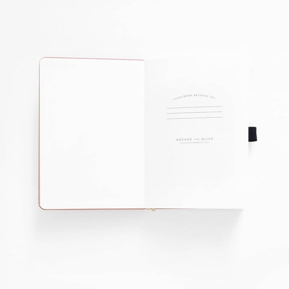 Meteor Shower: Notebook